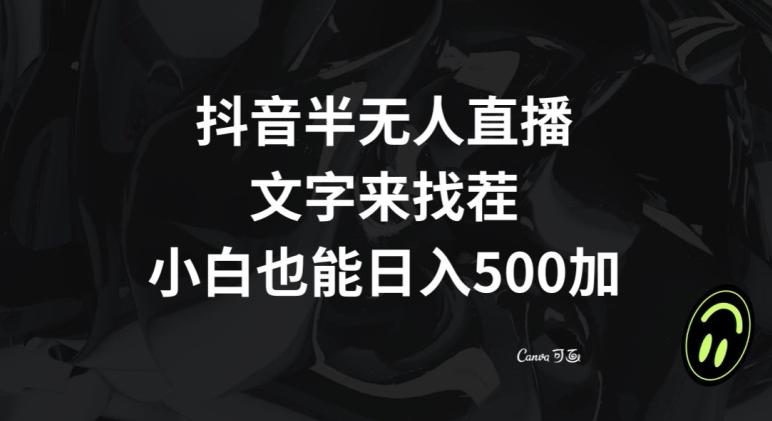 抖音半无人直播，文字来找茬小游戏，每天收益500+【揭秘】-一新网创