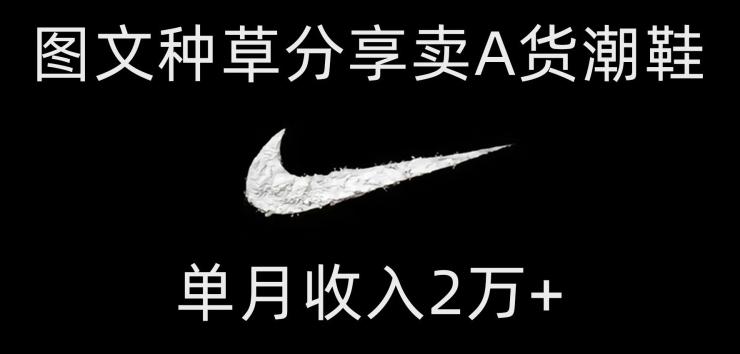 靠图文种草分享卖A货潮鞋，每天一小时，单月收入2万+【揭秘】-一新网创