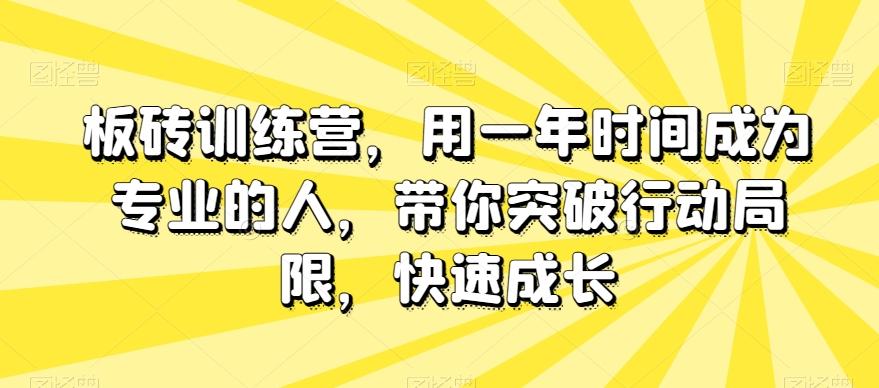 板砖训练营，用一年时间成为专业的人，带你突破行动局限，快速成长-一新网创