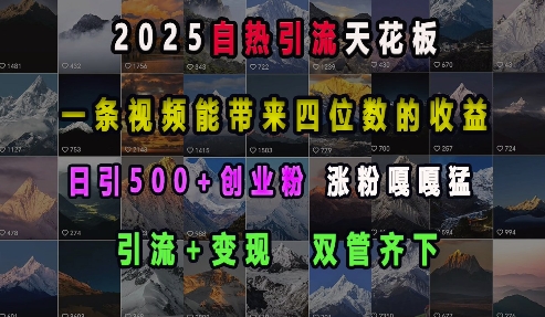 2025自热引流天花板，一条视频能带来四位数的收益，引流+变现双管齐下，日引500+创业粉，涨粉嘎嘎猛-一新网创