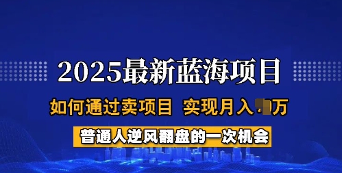 2025蓝海项目，普通人如何通过卖项目，实现月入过W，全过程【揭秘】-一新网创