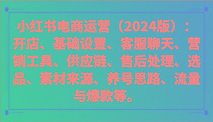 小红书电商运营(2024版)：开店、设置、供应链、选品、素材、养号、流量与爆款等-一新网创