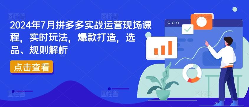 2024年7月拼多多实战运营现场课程，实时玩法，爆款打造，选品、规则解析-一新网创