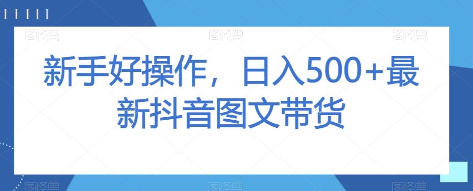 新手好操作，日入500+最新抖音图文带货【揭秘】-一新网创