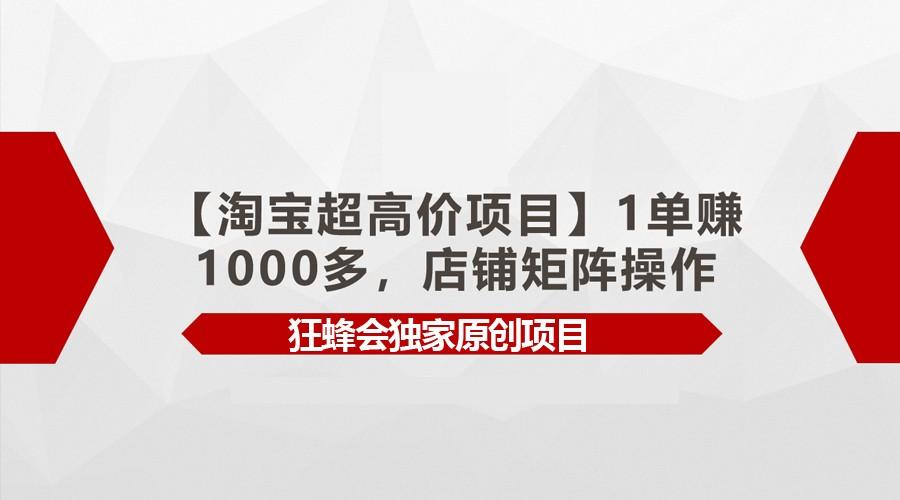 【淘宝超高价项目】1单赚1000多，店铺矩阵操作-一新网创