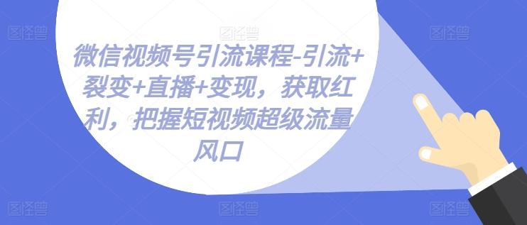 微信视频号引流课程-引流+裂变+直播+变现，获取红利，把握短视频超级流量风口-一新网创