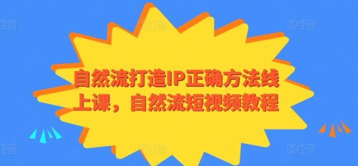 自然流打造IP正确方法线上课，自然流短视频教程-一新网创