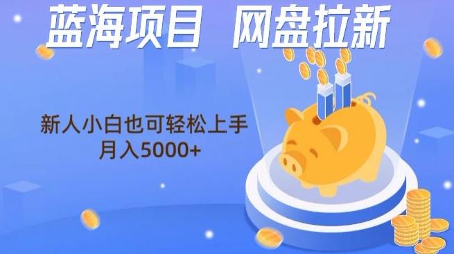 蓝海项目网盘拉新，新人小白也可操作，每月收入5000+-一新网创
