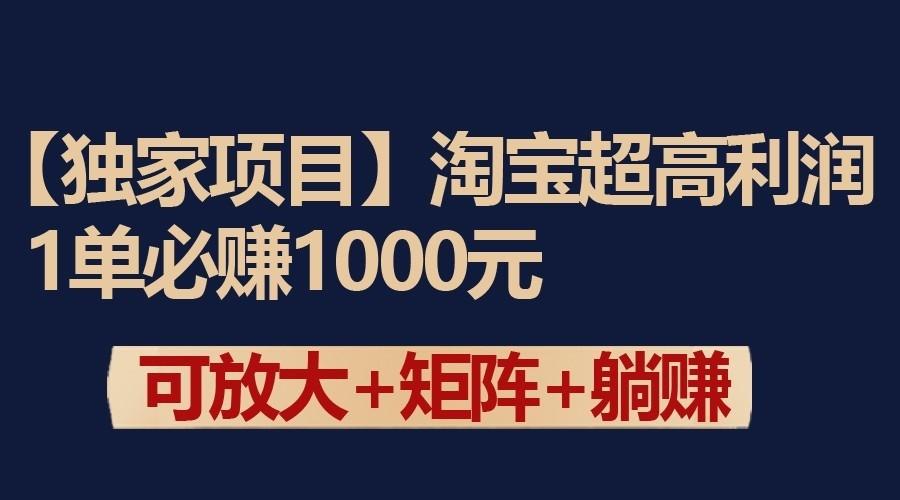 独家淘宝超高利润项目：1单必赚1000元，可放大可矩阵操作-一新网创