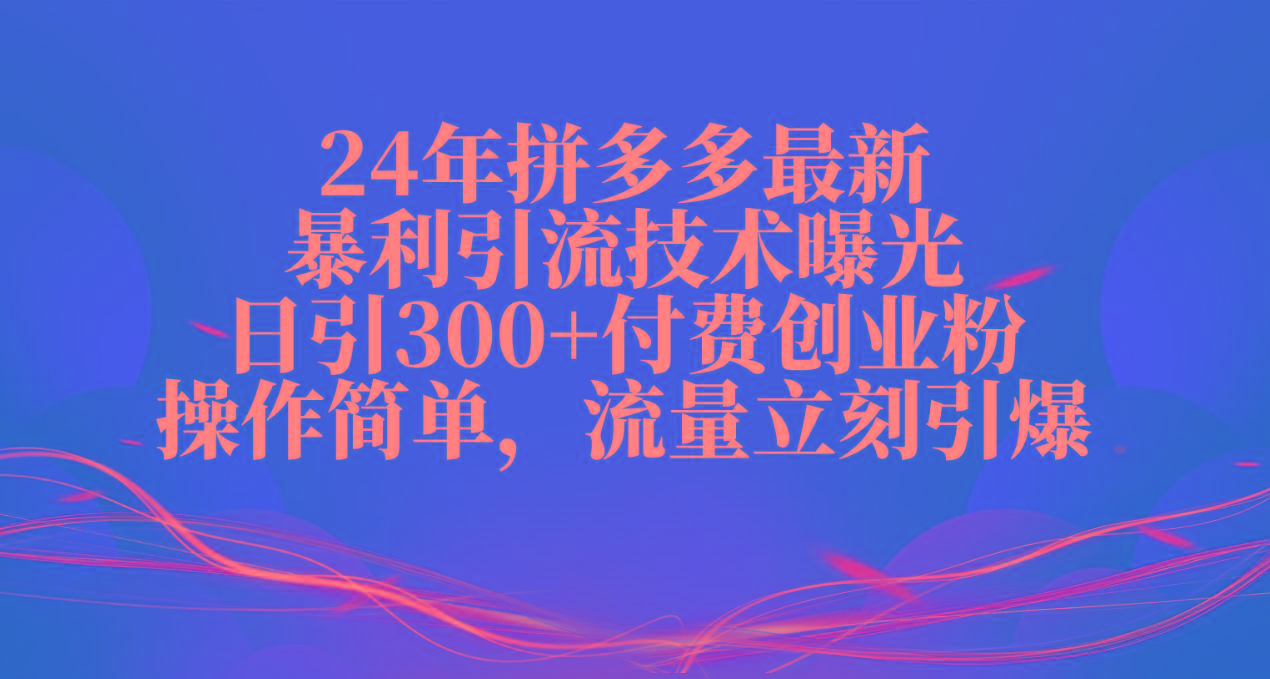 24年拼多多最新暴利引流技术曝光，日引300+付费创业粉，操作简单，流量...-一新网创