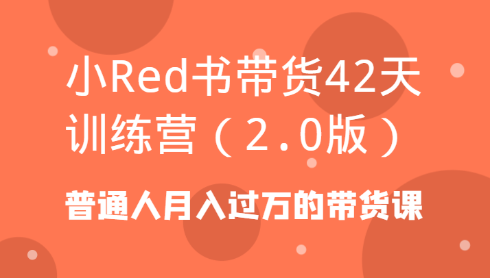 小Red书带货42天训练营(2.0版)普通人月入过万的带货课-一新网创