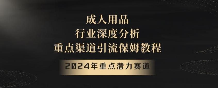 2024年重点潜力赛道，成人用品行业深度分析，重点渠道引流保姆教程【揭秘】-一新网创