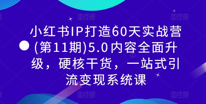 小红书IP打造60天实战营(第11期)5.0​内容全面升级，硬核干货，一站式引流变现系统课-一新网创