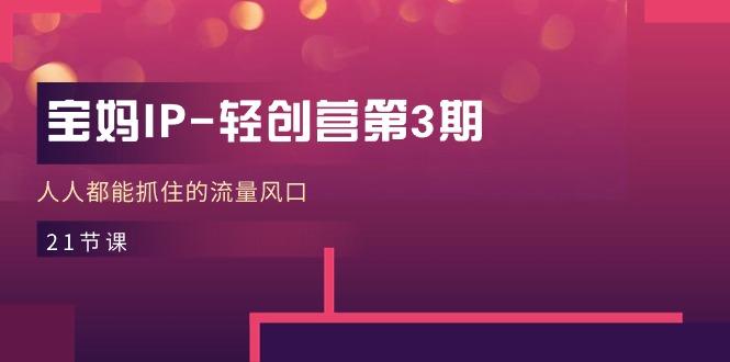 宝妈IP-轻创营第3期，人人都能抓住的流量风口(21节课-一新网创