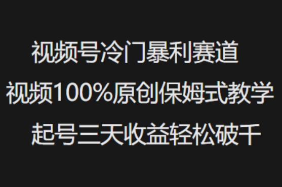 视频号冷门暴利赛道视频100%原创保姆式教学起号三天收益轻松破千-一新网创