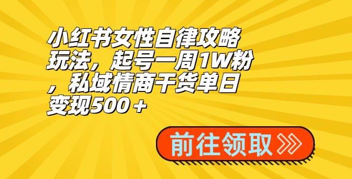 小红书女性自律攻略玩法，起号一周1W粉，私域情商干货单日变现500＋-一新网创