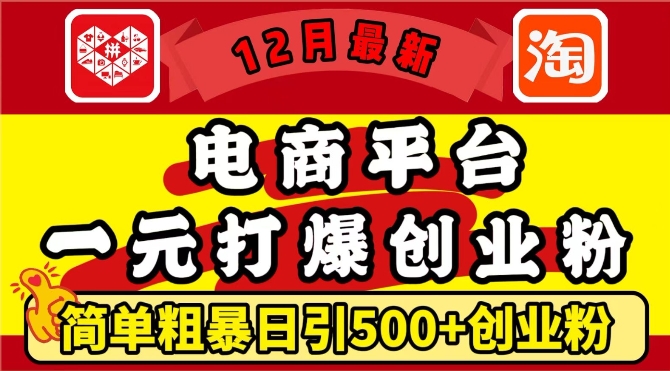12月最新：电商平台1元打爆创业粉，简单粗暴日引500+精准创业粉，轻松月入过W【揭秘】-一新网创