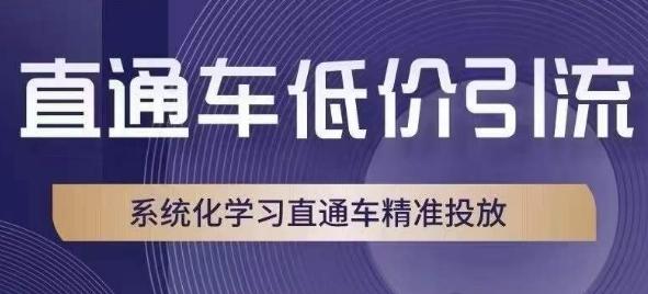 直通车低价引流课，系统化学习直通车精准投放-一新网创