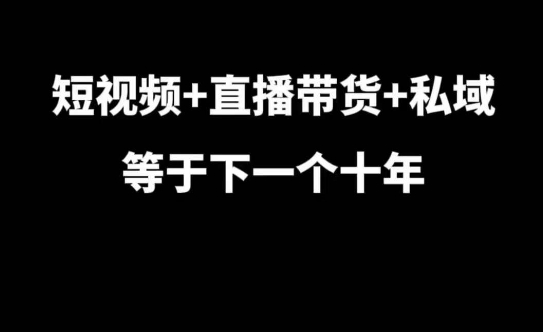 短视频+直播带货+私域等于下一个十年，大佬7年实战经验总结-一新网创