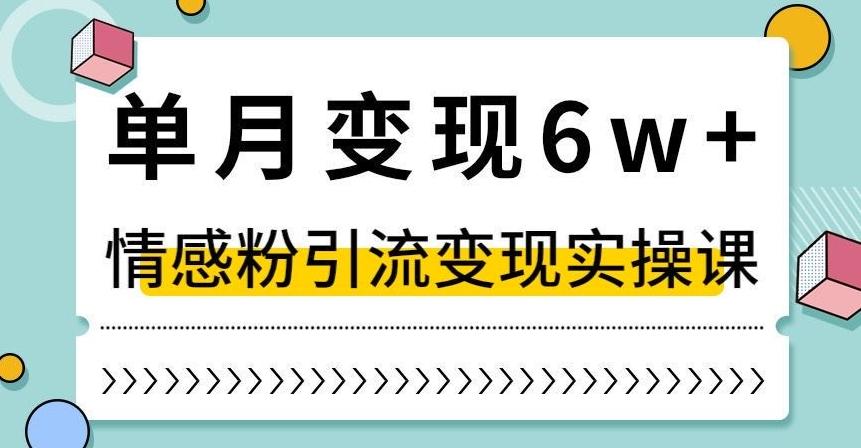单月变现6W+，抖音情感粉引流变现实操课，小白可做，轻松上手，独家赛道【揭秘】-一新网创