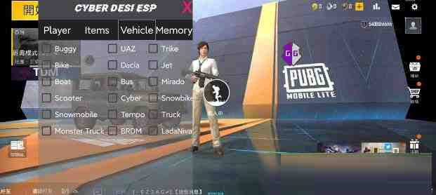 PUBG轻量老外裸奔绘制+自瞄 支持ROOT和框架 里面有全局离线-一新网创