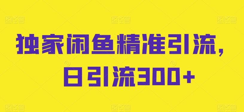 独家闲鱼精准引流，日引流300+【揭秘】-一新网创