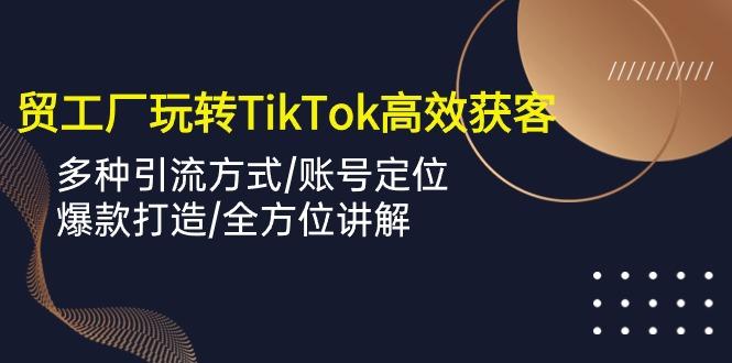 外贸工厂玩转TikTok高效获客，多种引流方式/账号定位/爆款打造/全方位讲解-一新网创
