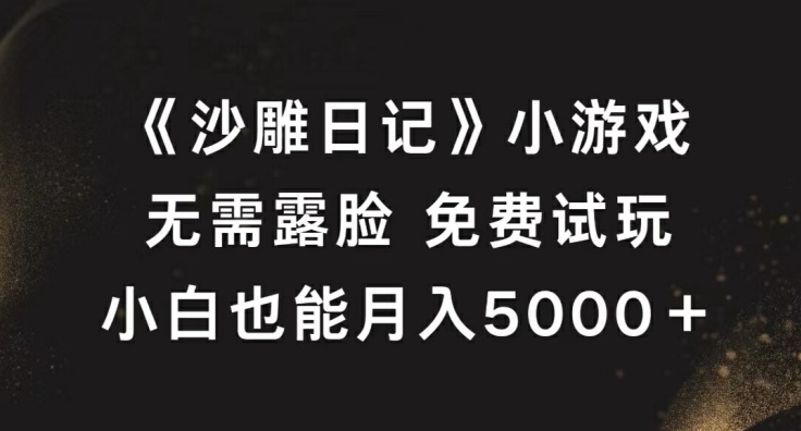 《沙雕日记》小游戏，无需露脸免费试玩，小白也能月入5000+【揭秘】-一新网创