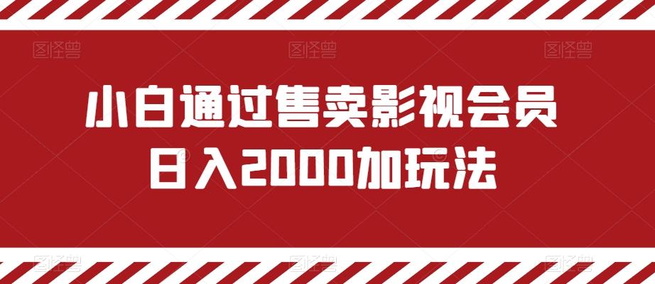 小白通过售卖影视会员日入2000加玩法-一新网创