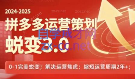 大力老师·2024拼多多运营策略蜕变3.0-一新网创