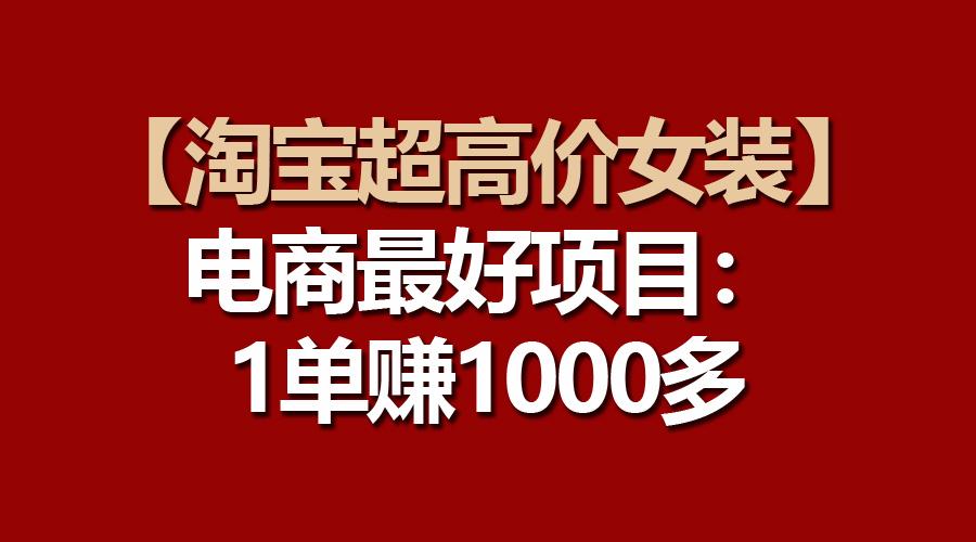 【淘宝超高价女装】电商最好项目：一单赚1000多-一新网创