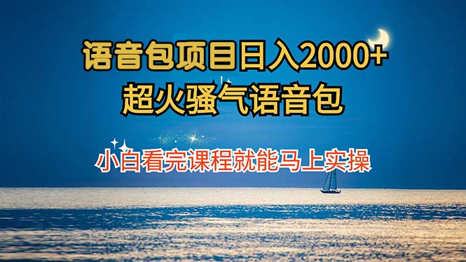 语音包项目 日入2000+ 超火骚气语音包小白看完课程就能马上实操-一新网创