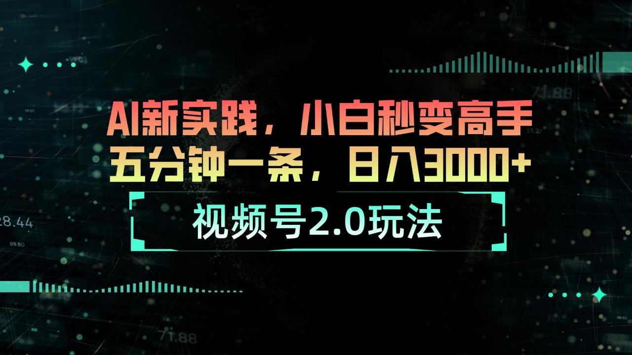 视频号2.0玩法 AI新实践，小白秒变高手五分钟一条，日入3000+-一新网创