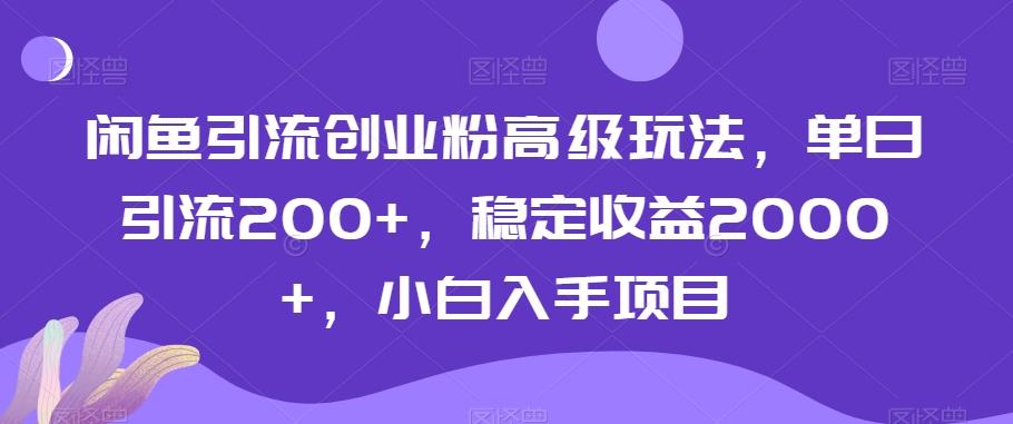 闲鱼引流创业粉高级玩法，单日引流200+，稳定收益2000+，小白入手项目-一新网创