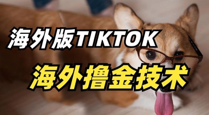 抖音海外版tiktok撸金技术，这个风口行业，赚钱真的不难【揭秘】-一新网创
