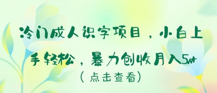 冷门成人识字项目，小白上手轻松，暴力创收月入5w+【揭秘】-一新网创