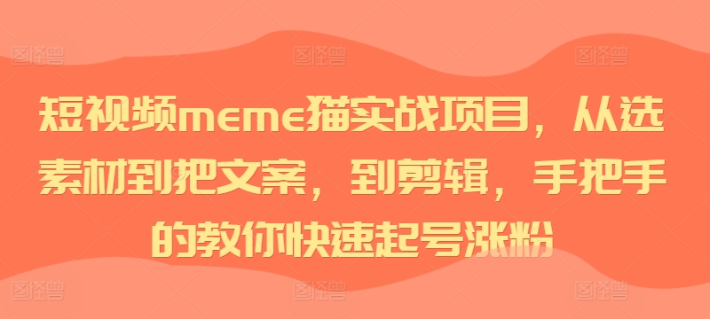 短视频meme猫实战项目，从选素材到把文案，到剪辑，手把手的教你快速起号涨粉-一新网创