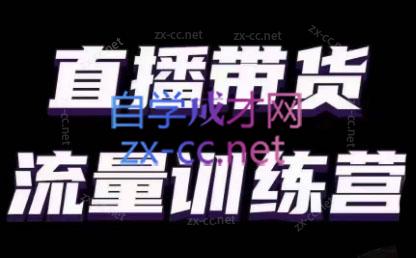 婉婉·直播带货课程系列合集(更新8月)-一新网创