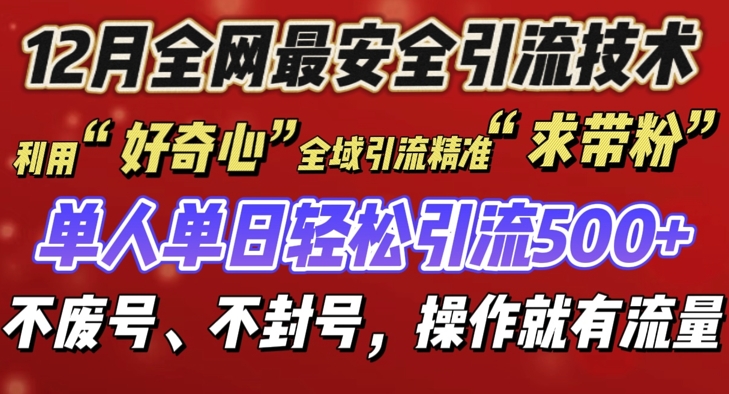 12 月份全网最安全引流创业粉技术来袭，不封号不废号，有操作就有流量【揭秘】-一新网创