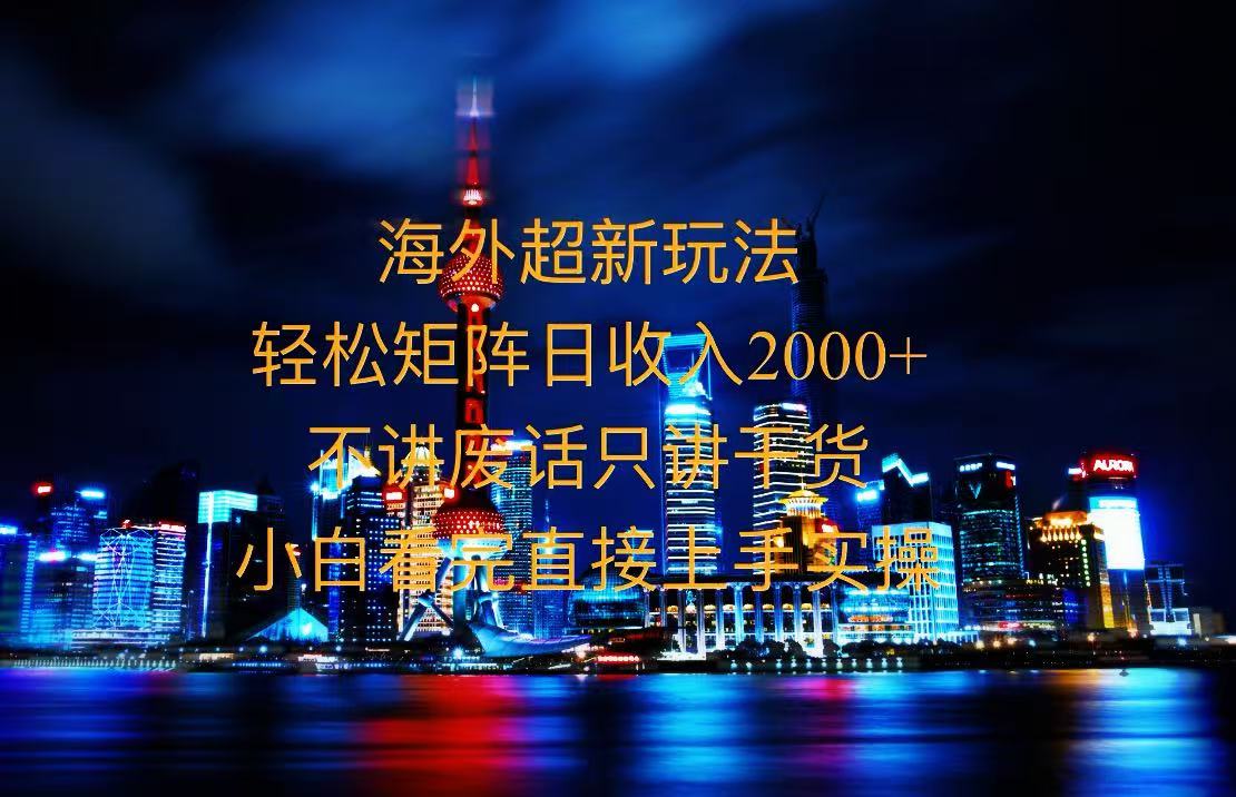 2025全新海外暴力玩法，操作简单，小白轻松上手-一新网创