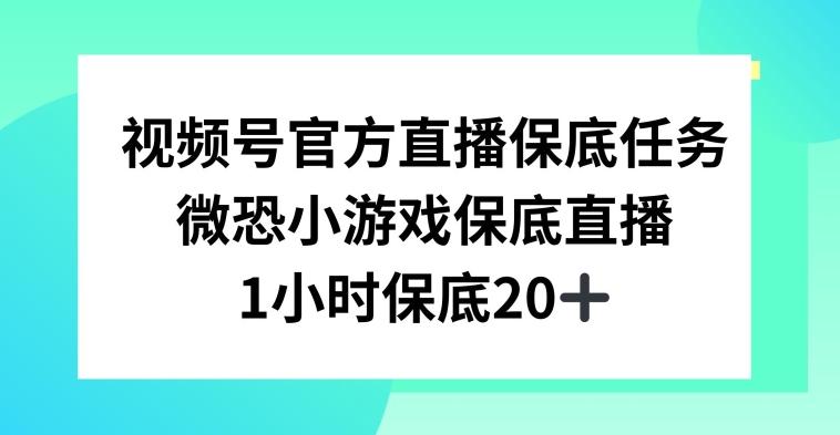 视频号直播任务，微恐小游戏，1小时20+【揭秘】-一新网创