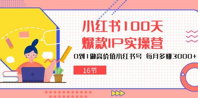 小红书100天-爆款IP实操营，0到1做高价值小红书号 每月多赚3000+(16节-一新网创