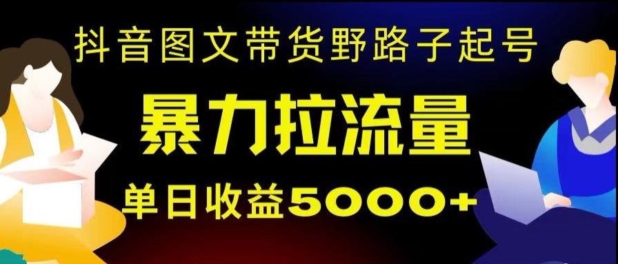 抖音图文带货暴力起号，单日收益5000+，野路子玩法，简单易上手，一部手机即可【揭秘】-一新网创