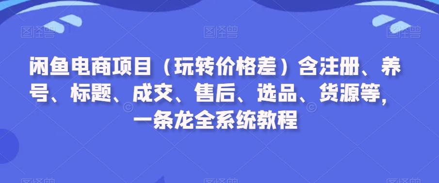 闲鱼电商项目(玩转价格差)含注册、养号、标题、成交、售后、选品、货源等，一条龙全系统教程-一新网创