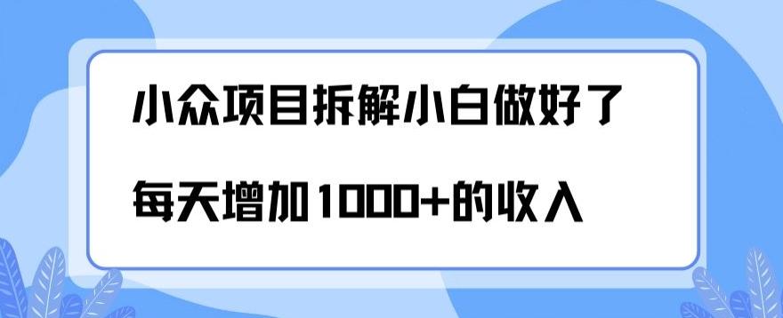 小众项目拆解，小白做好了每天可增加1000多的收入-一新网创