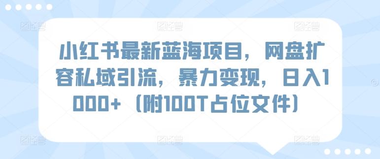 小红书最新蓝海项目，网盘扩容私域引流，暴力变现，日入1000+(附100T占位文件)【揭秘】-一新网创