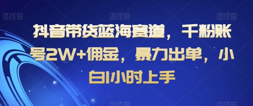 抖音带货蓝海赛道，千粉账号2W+佣金，暴力出单，小白1小时上手【揭秘】-一新网创