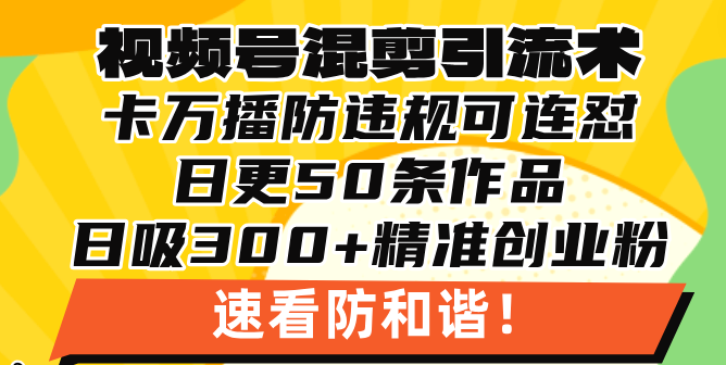 视频号混剪引流技术，500万播放引流17000创业粉，操作简单当天学会-一新网创
