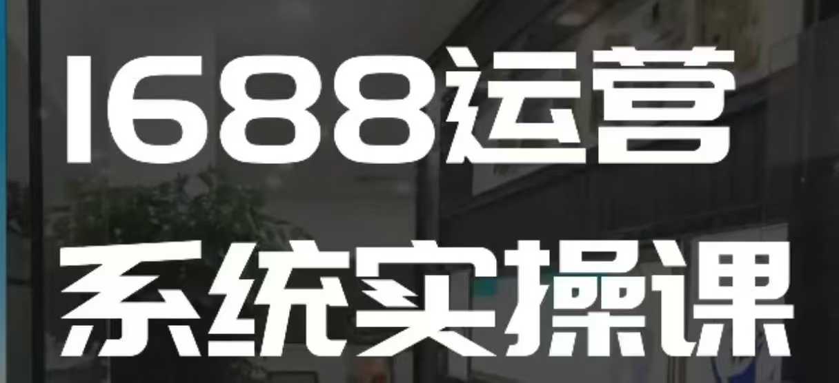 1688高阶运营系统实操课，快速掌握1688店铺运营的核心玩法-一新网创