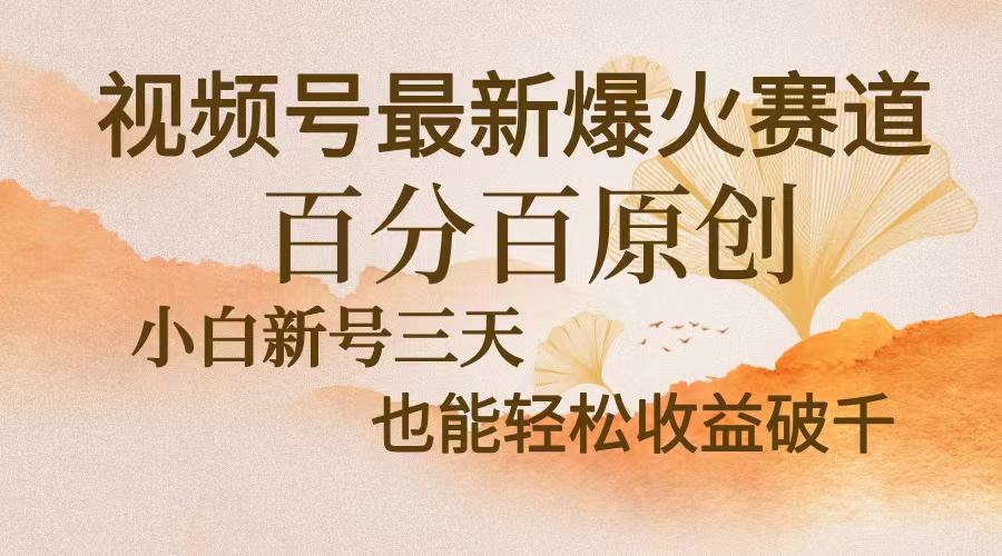 视频号最新爆火赛道，中老年粉深信不疑，百分百原创，新号三天收益轻松...-一新网创
